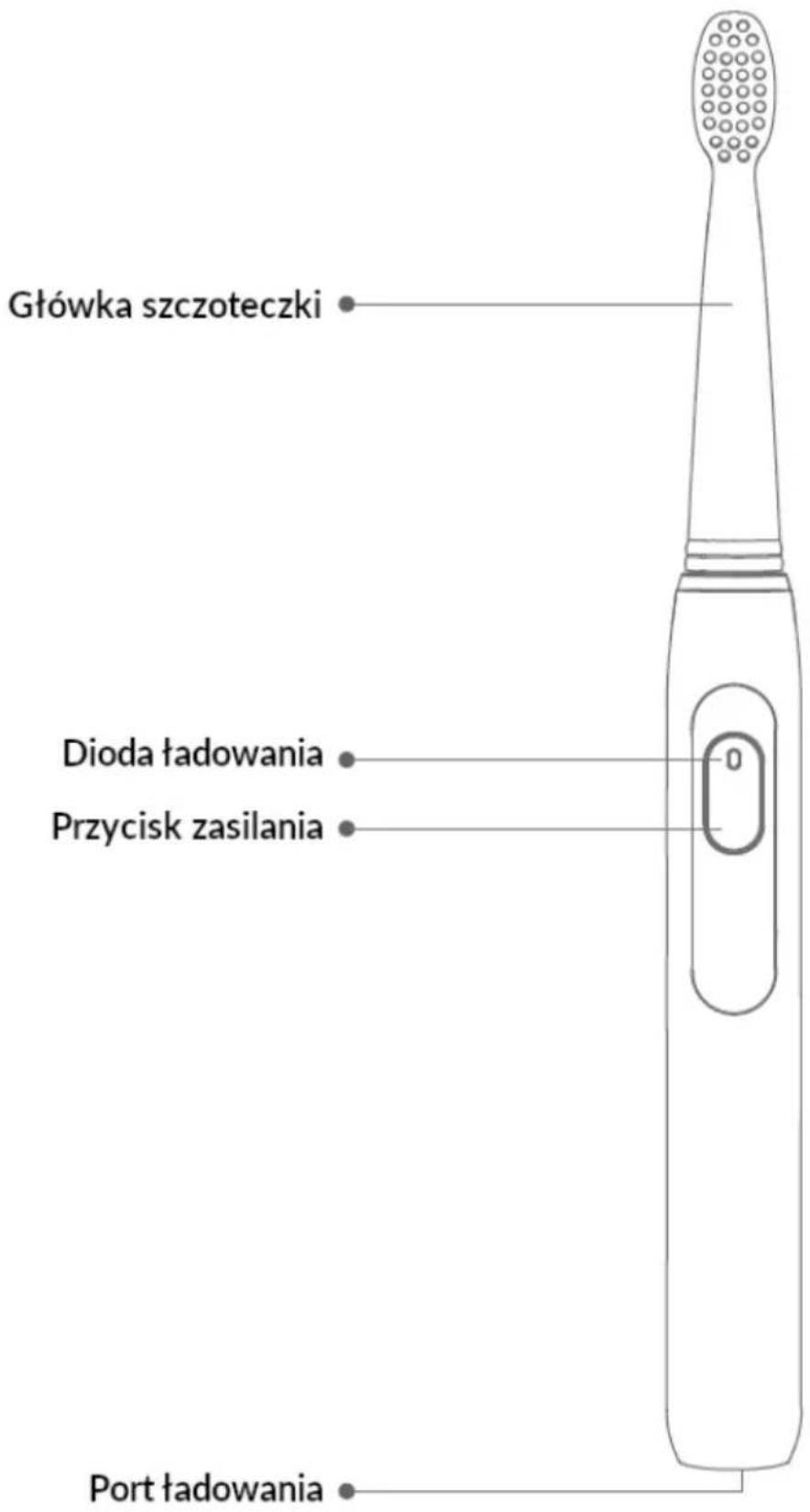 Główka szczoteczki Dioda tadowania Przycisk zasilania Port tadowania
