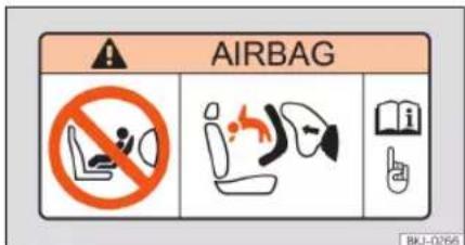 AIRBAG BKJ-0266