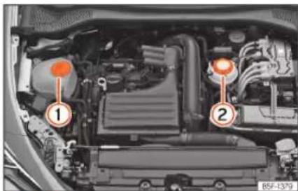 SEAT Leon ST (2024) - Zbiornik płynu chłodzącego - 1
