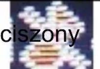 MaxCom MM471 - Tryb czuwania, opis wyświetlacza - 9