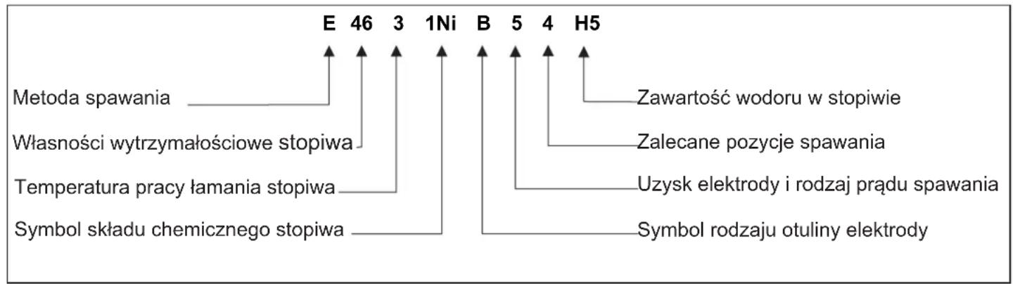 DEDRA DESTi203P - Elektrody - 1