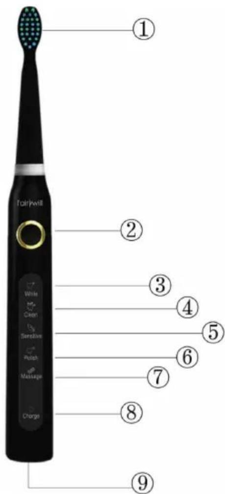 Fairywill FW-507 Plus - Opis produktu - 1