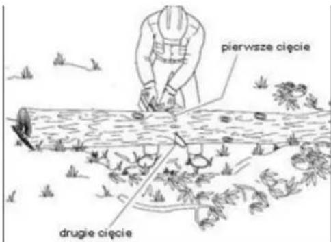 pierwsze cięcie drugie cięcie
