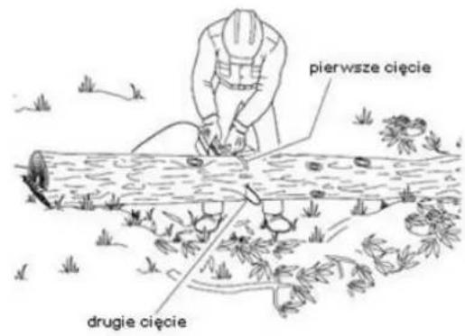 pierwsze cięcie drugie cięcie
