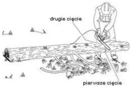 drugie cięcie pierwsze cięcie