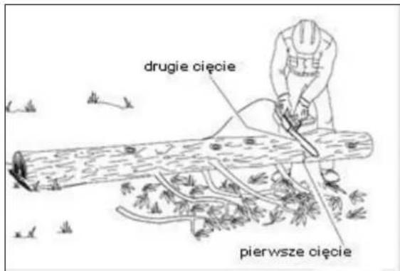 drugie cięcie pierwsze cięcie