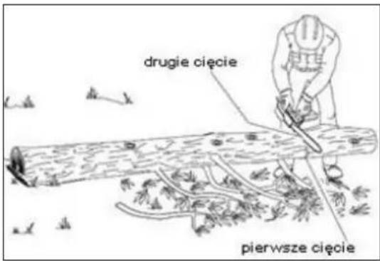 drugie cięcie pierwsze cięcie