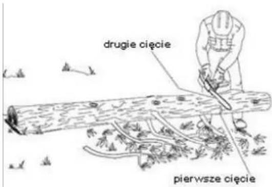 drugie cięcie pierwsze cięcie