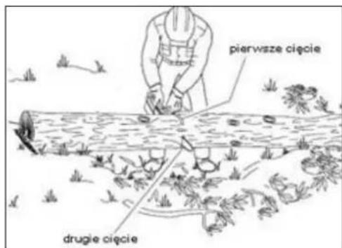 pierwsze cięcie drugie cięcie