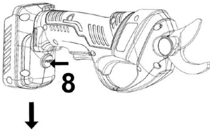 PUS 8