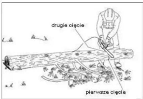 drugie cięcie pierwsze cięcie
