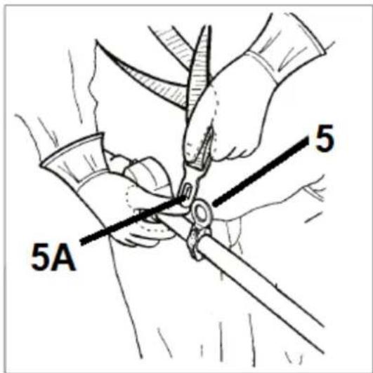 5 5A
