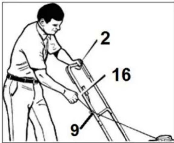 2 16 9