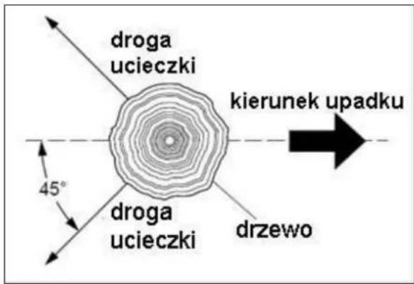 droga ucieczki kierunek upadku 45° droga ucieczki drzewo