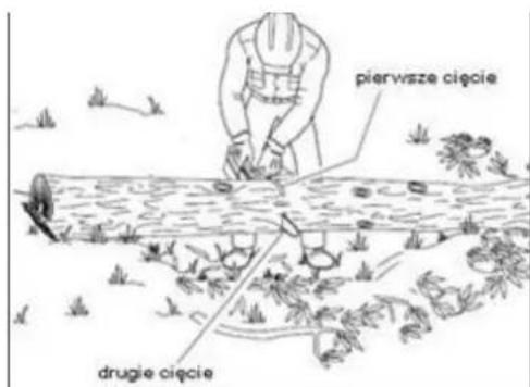 pierwsze cięcie drugie cięcie