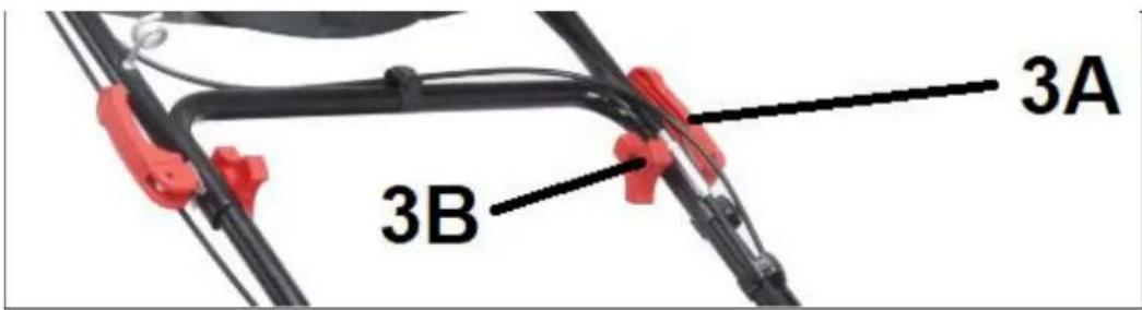 3A 3B
