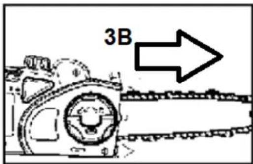 3B