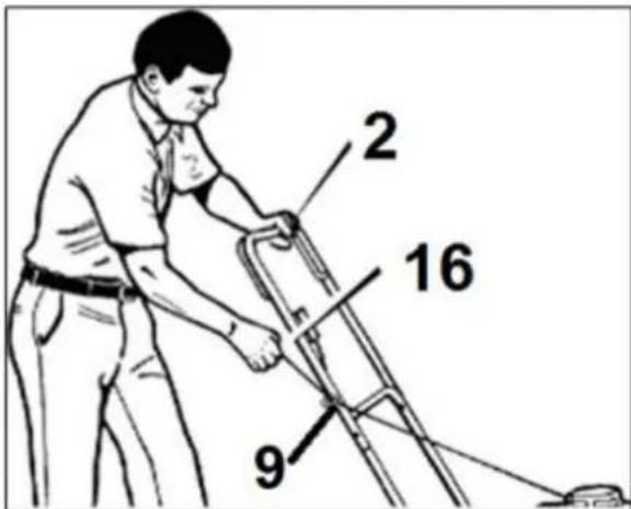 2 16 9