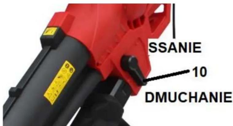 SSANIE 10 DMUCHANIE