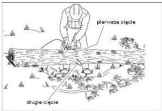 pierwsze cięcie drugie cięcie