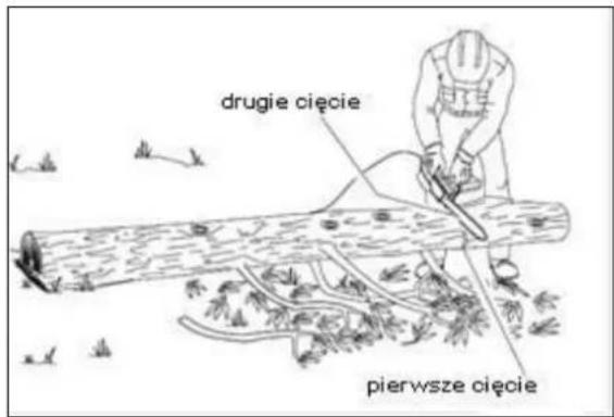 drugie cięcie pierwsze cięcie