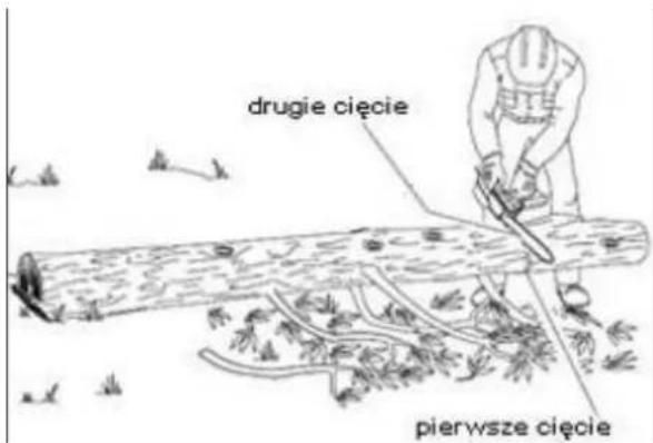 drugie cięcie pierwsze cięcie