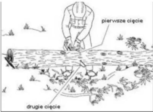 pierwsze cięcie drugie cięcie