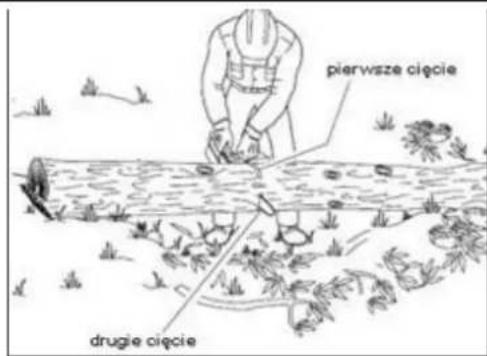 pierwsze cięcie drugie cięcie