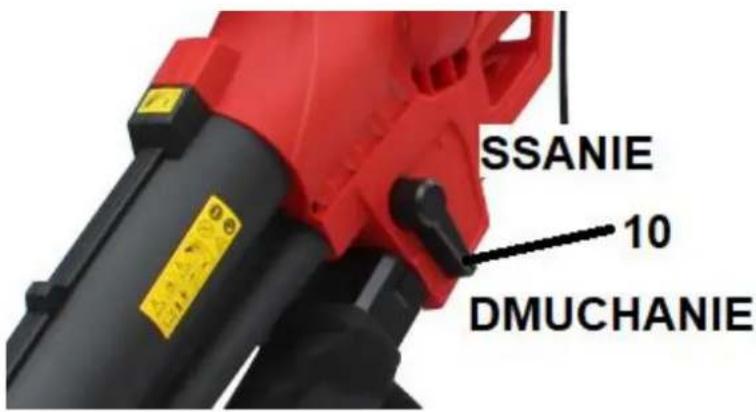 SSANIE 10 DMUCHANIE