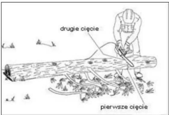 drugie cięcie pierwsze cięcie