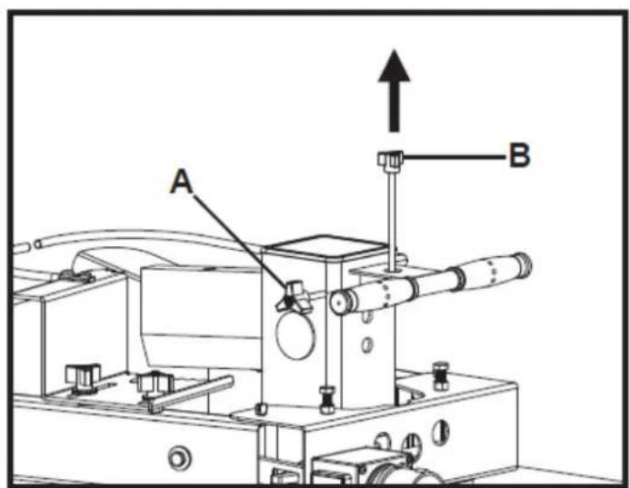 A B