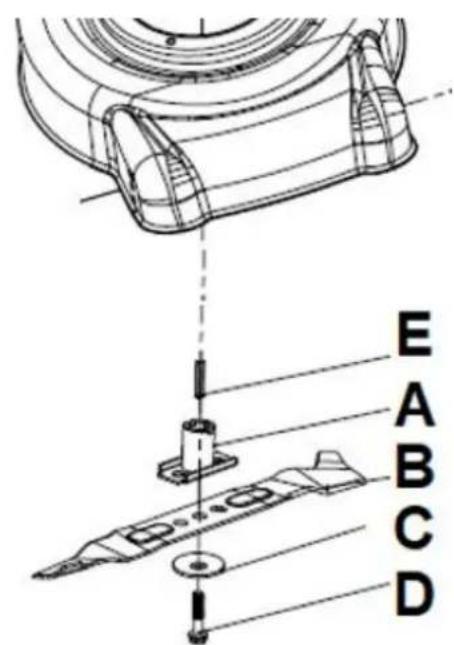 E A B C D