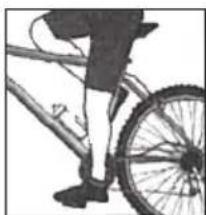 Dino Bikes Sonic - Rowery 12, 16, 20 lub 24 - 1
