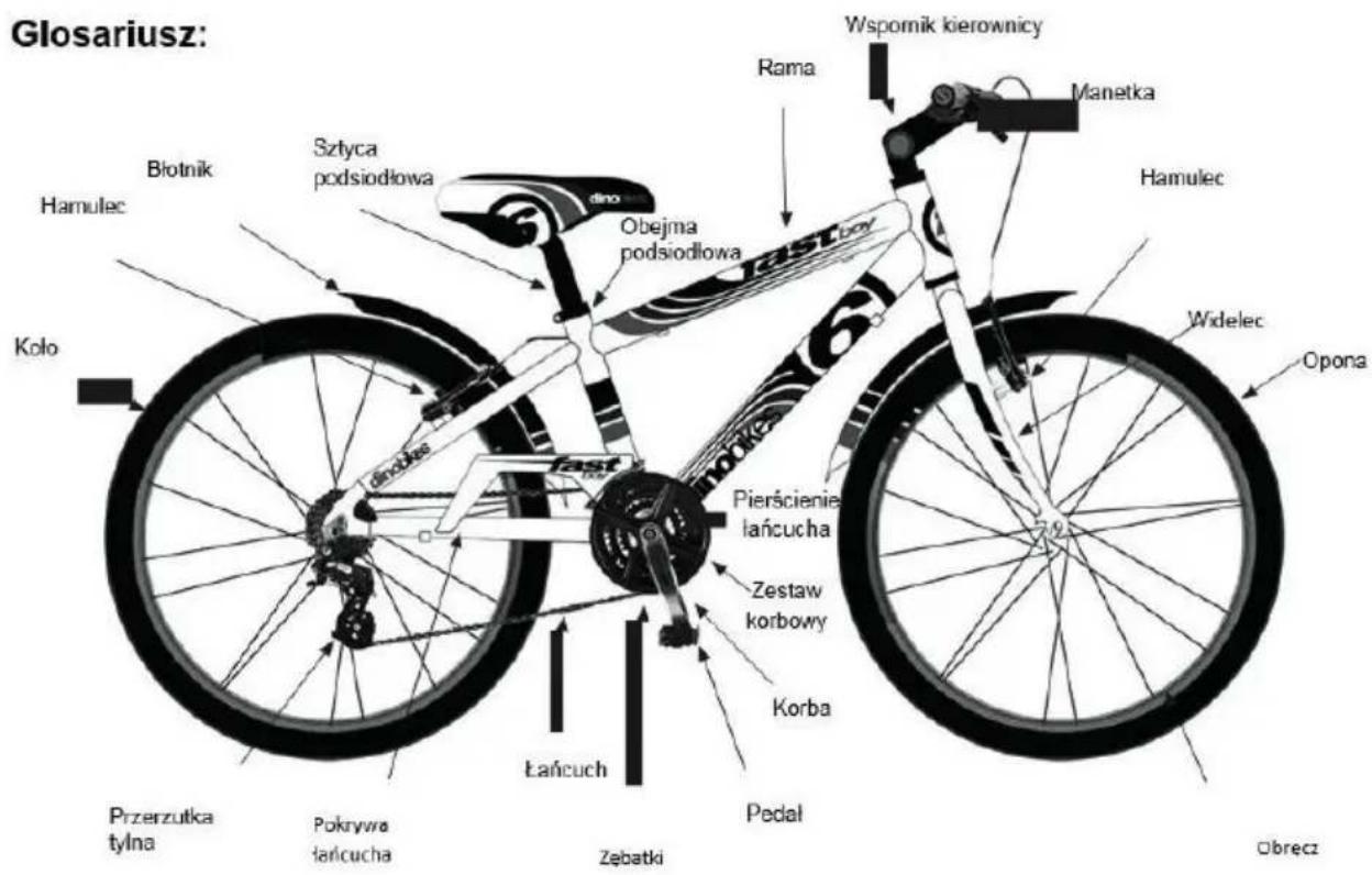 Glosariusz: Biotnik Hamulec Kolo Sztlyca podsiodłowa dino Obejma podsiodłowa fast Pierścienie lańcucha Zestaw korbowy Korba Lańcuch Pedal Przerzutka tylna Pokrywra łańcucha Zebatki Wspomik kierownicy Rama Manetka Hamulec Widelec Opona Obrecz