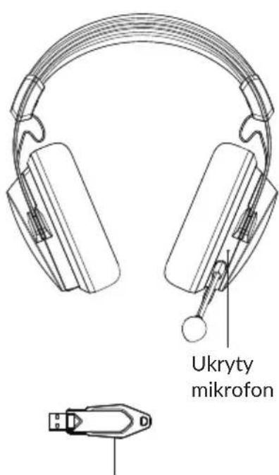 Ukryty mikrofon