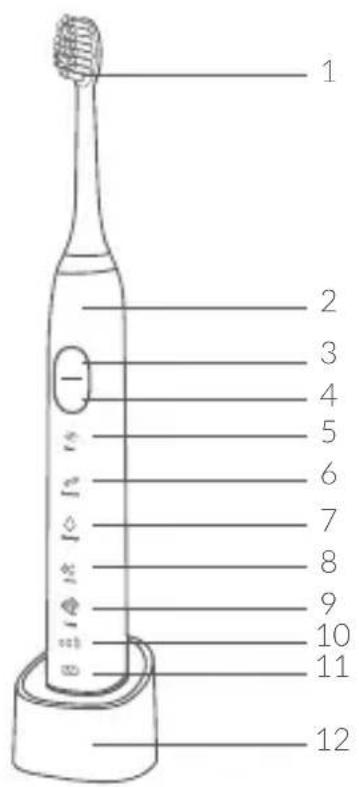 1 2 3 4 5 6 7 8 9 10 11 12