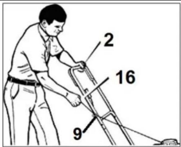 2 16 9