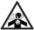 Faworyt RO56 R - Symbole dotyczące urządzenia - 7