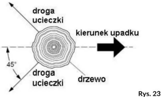 droga ucieczki kierunek upadku 45° droga ucieczki drzewo Rys. 23