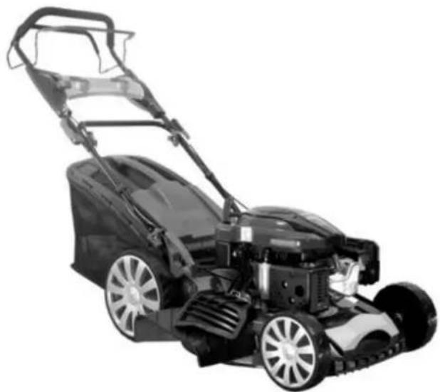 Faworyt SHA51N196L-4W1 - 1