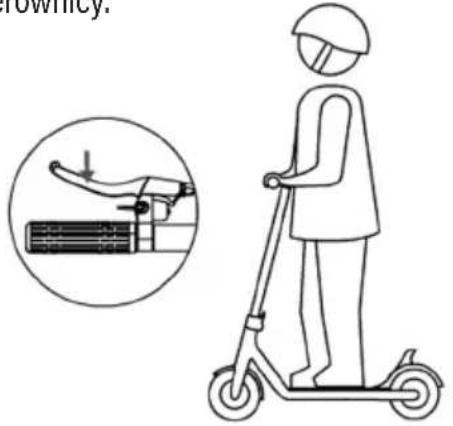 rowhicy.