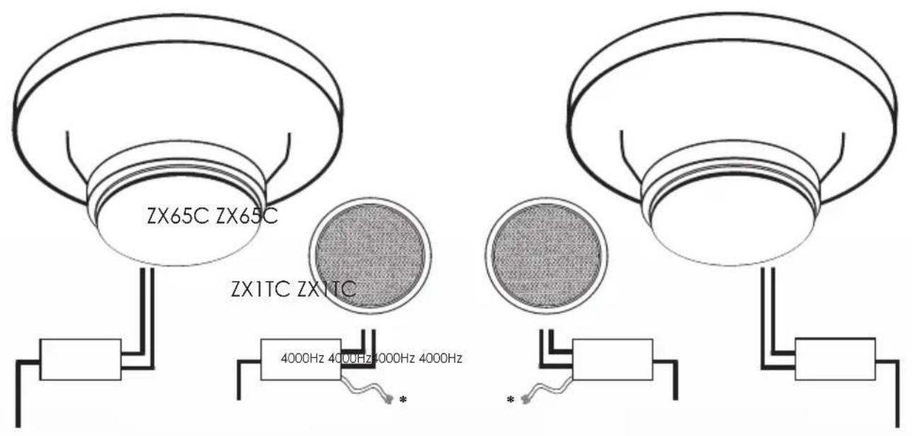 PHOENIX GOLD ZX1TC - Filter Usage - 1