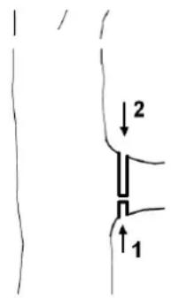 ↓2 ↑1