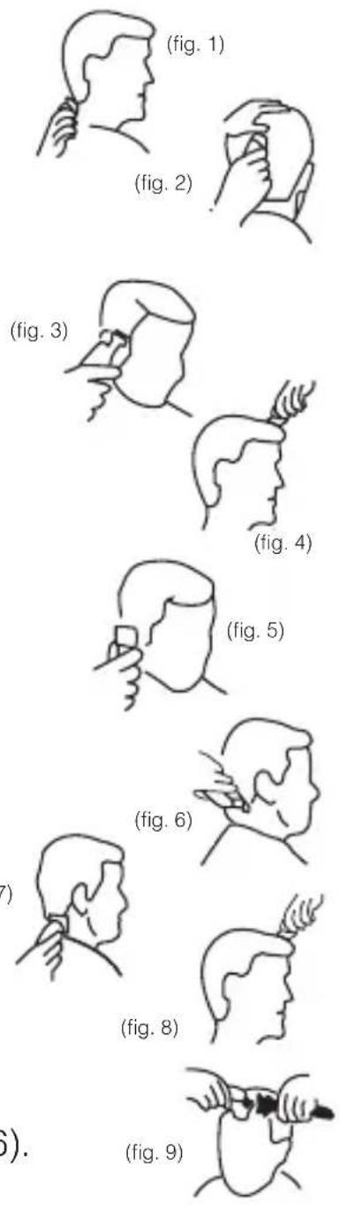(fig. 1) (fig. 2) (fig. 3) (fig. 4) (fig. 5) (fig. 6) (fig. 8) (fig. 9) )