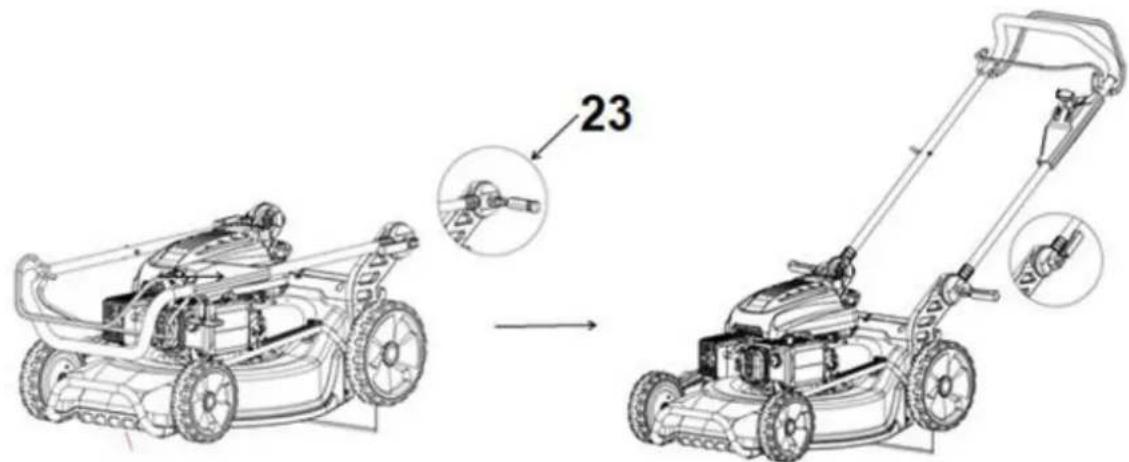 23