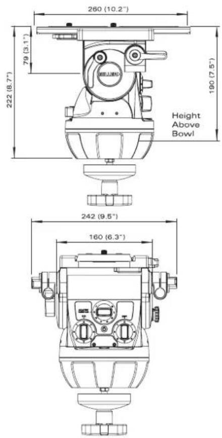 260 (10.2") 79 (3.1") 222 (8.7") Height Above Bowl 190 (7.5") 242 (9.5") 160 (6.3)