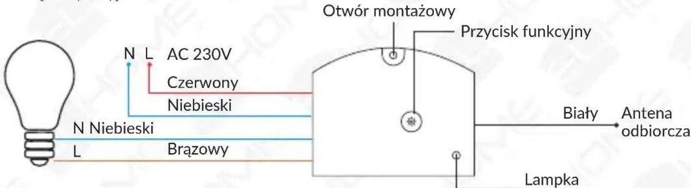 N L AC 230V Czerwony Niebieski N Niebieski L Brązowy Otwór montażowy Przycisk funkcyjny Biały Antena odbiorcza Lampka