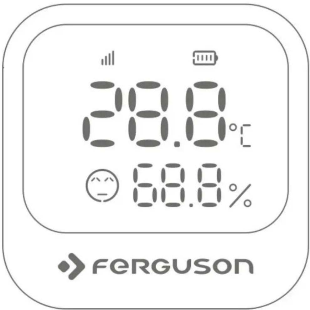 Ferguson FS2HT-LCD - FS2HT-LCD - 1