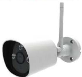 Ferguson Smart Eye 300 - 1