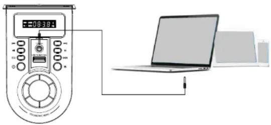 Ferguson Regent 400BT - Połącz się z Line-in - 1
